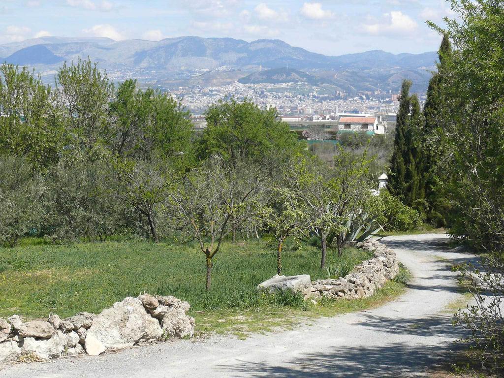 Cortijo Algabia Guest House Alhendin Luaran gambar