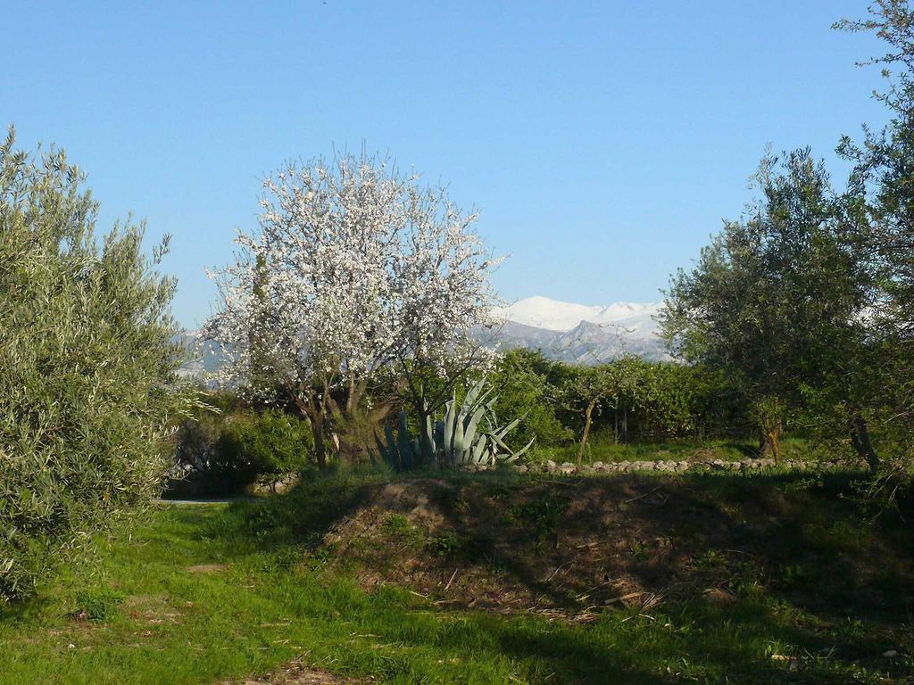 Cortijo Algabia Guest House Alhendin Luaran gambar