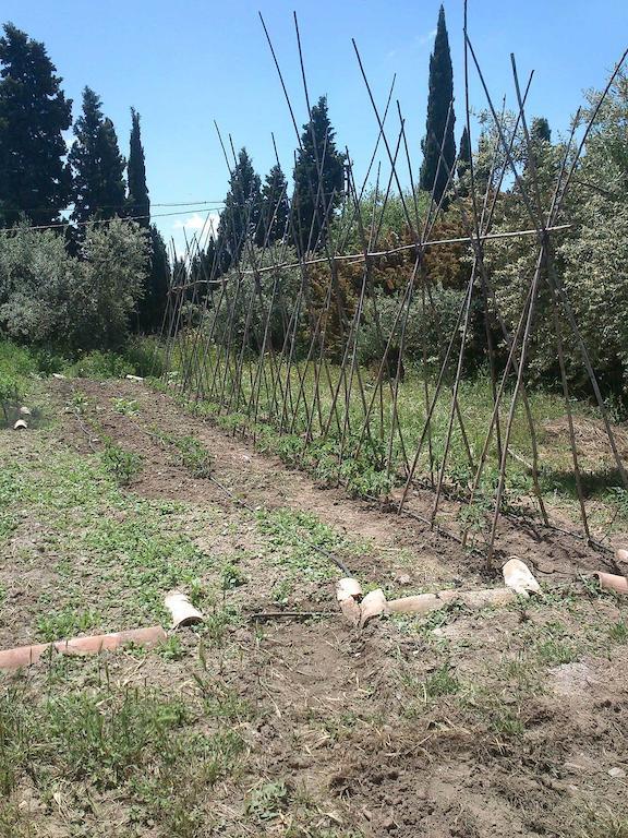 Cortijo Algabia Guest House Alhendin Luaran gambar